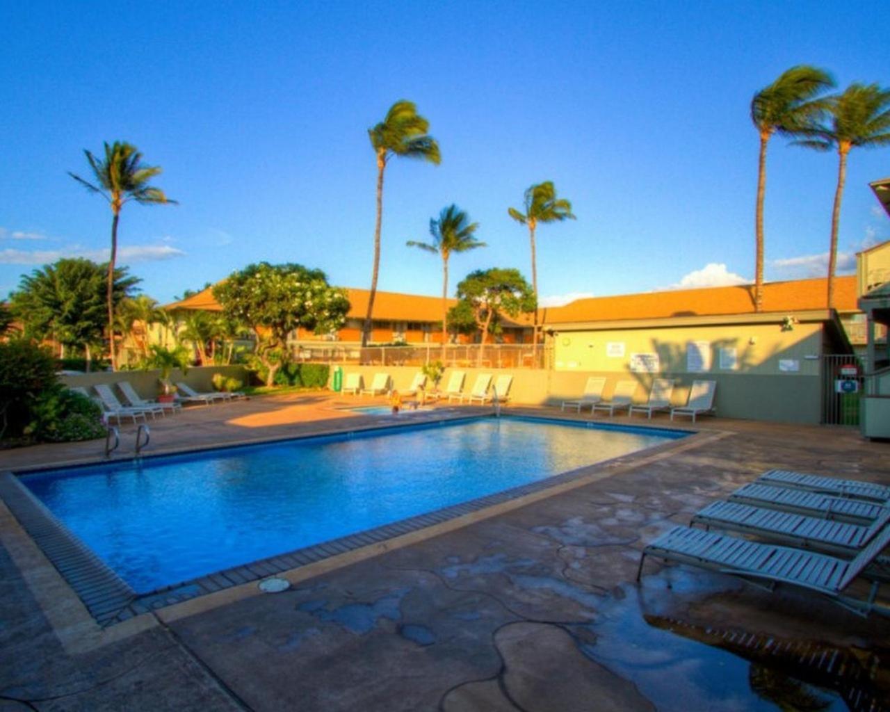 Kihei Bay Surf 130- Garden View Studio, Free Parking Exterior foto